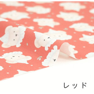 y50cm10cmPʁzIbNX s܂yawnt N} ܕ efBxA N}̃[  O ؍ i`  ݃J[ pXe 킢 w ̎q j̎q z n I