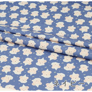 y50cm10cmPʁzIbNX s܂yawnt N} ܕ efBxA N}̃[  O ؍ i`  ݃J[ pXe 킢 w ̎q j̎q z n I