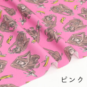 y50cm10cmPʁz IbNX sEat BANANAt T IE[^ `pW[  oii 啿 Aj} j[N  IV RR] 킢 ̎qj̎q z n Ib