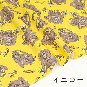 y50cm10cmPʁz IbNX sEat BANANAt T IE[^ `pW[  oii 啿 Aj} j[N  IV RR] 킢 ̎qj̎q z n Ib