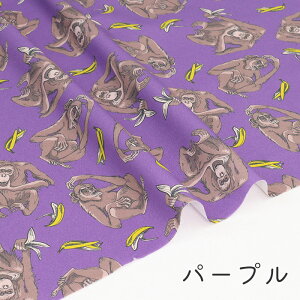 y50cm10cmPʁz IbNX sEat BANANAt T IE[^ `pW[  oii 啿 Aj} j[N  IV RR] 킢 ̎qj̎q z n Ib