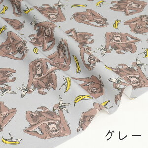 y50cm10cmPʁz IbNX sEat BANANAt T IE[^ `pW[  oii 啿 Aj} j[N  IV RR] 킢 ̎qj̎q z n Ib