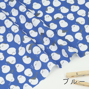 y50cm10cmPʁz IbNX s̗dt V}GiK V}GiKn    Aj} Vv pXe w ̎q j̎q 킢 z n IbNXn IWi