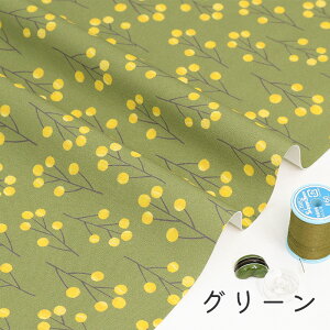 y50cm10cmPʁz IbNX smimosat~U ԕ ԕ A k k kn ~U {^jJ R Vv 킢 ̎q j̎q z n IbNXn IWi {