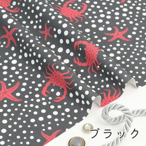 y50cm10cmPʁz V[`O sJjƃoJXtC ̕ Jj qgf j[N 킢 ̎q j̎q z n V[`On IWi  { Gt@ubN Mfabri