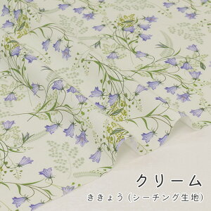 y50cm10cmPʁz V[`O s 傤 tM fabric IWi n z {   | Vv nhCh  ̎q t@ubN 킢 J[e j̎q zn Gt