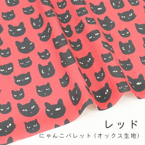 y50cm10cmPʁz IbNX s ɂ񂱃pbg tL lR ˂ M fabric n z { Ln   | IbNX Vv nhCh ̎q t@ubN 킢