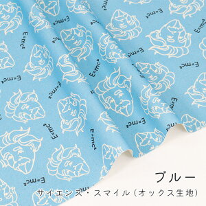 y50cm10cmPʁz IbNX s TCGXEX}C t ACV^C  Axg ׋   l V[  j[N  RR]  n z { 