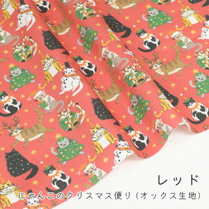 y50cm10cmPʁz IbNX s ɂ񂱂̃NX}Xւ t L lR ˂ NX}X NX}X 킭킭  j[N Ln L n z {  ̎q t@u