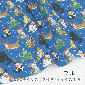 y50cm10cmPʁz IbNX s ɂ񂱂̃NX}Xւ t L lR ˂ NX}X NX}X 킭킭  j[N Ln L n z {  ̎q t@u