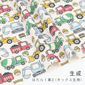 y50cm10cmPʁz IbNX s ͂炭2 tԕ ܕ N} Hԗ g[[ ̂̕ 蕨 킭킭 JbRCC BOY  j[N n z {  ̎q 