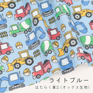 y50cm10cmPʁz IbNX s ͂炭2 tԕ ܕ N} Hԗ g[[ ̂̕ 蕨 킭킭 JbRCC BOY  j[N n z {  ̎q 