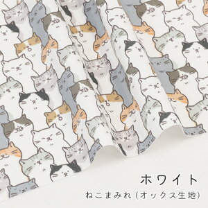 y50cm10cmPʁz IbNX s ˂܂݂ tL ˂ lR  L  킭킭  j[N lR n z { Ln  ̎q CeA t@ubN 