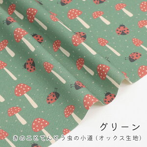 y50cm10cmPʁz IbNX s ̂ƂĂƂ̏ t̂  egEV ̕ w   킢 j̎q z n IbNXn IWi 