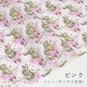 y50cm10cmPʁz IbNX s gEo[iEoj[ t ETM oG  oG L[g pXe 킢 C[X^[ ̎q j̎q z n IbNXn IWi 