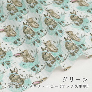 y50cm10cmPʁz IbNX s gEo[iEoj[ t ETM oG  oG L[g pXe 킢 C[X^[ ̎q j̎q z n IbNXn IWi 