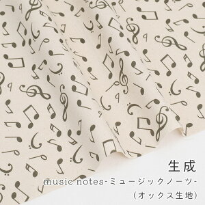 y50cm10cmPʁzIbNX sMusic Notest  y y y ~[WbN m[c O i`  ݃J[ 킢 w ̎q j̎q z n IWi { G