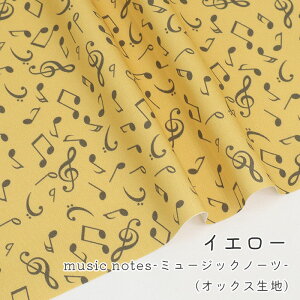 y50cm10cmPʁzIbNX sMusic Notest  y y y ~[WbN m[c O i`  ݃J[ 킢 w ̎q j̎q z n { Gt@u