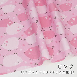 y50cm10cmPʁzIbNX s sNjbN sbO t u^   Aj} ؕ pXeJ[ w ̎q j̎q 킢 z n IWi { Gt@ub