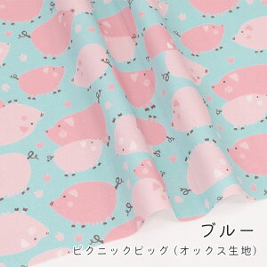 y50cm10cmPʁzIbNX s sNjbN sbO t u^   Aj} ؕ pXeJ[ w ̎q j̎q 킢 z n IWi { Gt@ub