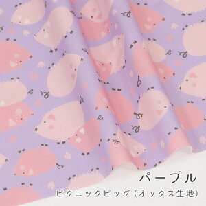 y50cm10cmPʁzIbNX s sNjbN sbO t u^   Aj} ؕ pXeJ[ w ̎q j̎q 킢 z n { Gt@ubN Mfabric 