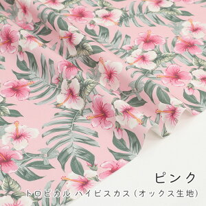 y50cm10cmPʁz IbNXs gsJ nCrXJX t nCrXJX ԕ 썑 A {^jJ i` Vv  ̎q nCA  킢 j̎q z n IbN