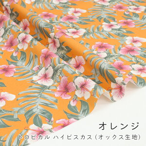 y50cm10cmPʁz IbNXs gsJ nCrXJX t nCrXJX ԕ 썑 A {^jJ i` Vv  ̎q nCA  킢 j̎q z n IbN