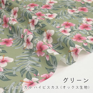 y50cm10cmPʁz IbNXs gsJ nCrXJX t nCrXJX ԕ 썑 A {^jJ i` Vv  ̎q nCA  킢 j̎q z n IbN