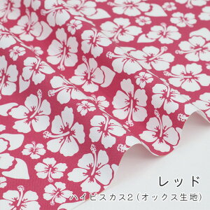 y50cm10cmPʁz IbNX s nCrXJX 2 t nCrXJX ԕ 썑 A {^jJ i` Vv  ̎q nCA 킢  j̎q z n IbNXn I