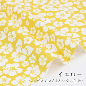 y50cm10cmPʁz IbNX s nCrXJX 2 t nCrXJX ԕ 썑 A {^jJ i` Vv  ̎q nCA 킢  j̎q z n IbNXn I