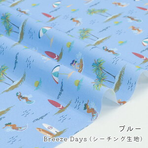 y50cm10cmPʁz V[`O s Breeze Days t T[tB C CO oJX 썑 ̓ T[t Vv 킢 Đn j̎q  xr[ qǂ Vc ̎q w 