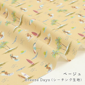 y50cm10cmPʁz V[`O s Breeze Days t T[tB C CO oJX 썑 ̓ T[t Vv 킢 Đn j̎q  xr[ qǂ Vc ̎q w 