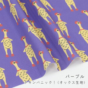 y50cm10cmPʁz IbNX s `L pjbNI t т`L CpNg Aj} Jt  |bv  G j[N  ̎q j̎q z n IbNX