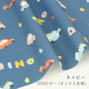 y50cm10cmPʁz IbNX s DINOJ[ tԕ ܕ N}   ̂̕ 蕨  JbRCC w   킢 j̎q z n IbNXn 