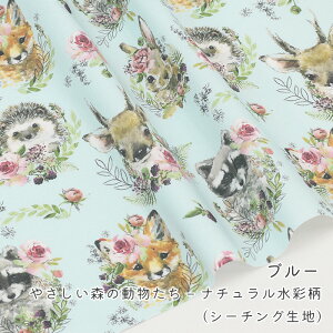 y50cm10cmPʁz V[`O s₳X̓ [i`ʕt  Aj} i` pXe 킢 ̎q j̎q z n IbNXn { Gt@u