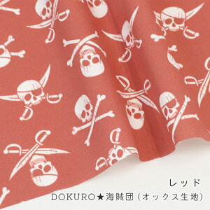 y50cm10cmPʁz IbNX s DOKUROCc t hN XJvg [ C | Vv  ̎q w s[X nEB  j̎q z n IbNXn 