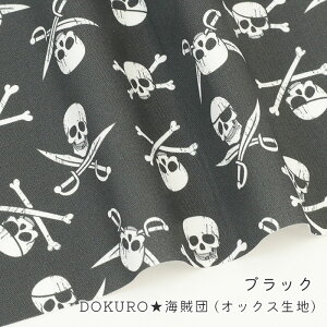 y50cm10cmPʁz IbNX s DOKUROCc t hN XJvg [ C | Vv  ̎q w s[X nEB  j̎q z n IbNXn 