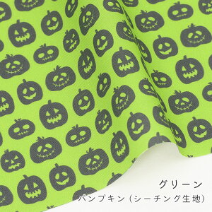 y50cm10cmPʁz V[`O spvLt nEB nEB ڂ WbNI[^ ߑ  RXv L[g |bv JCC z n { Gt@ubN Mfa