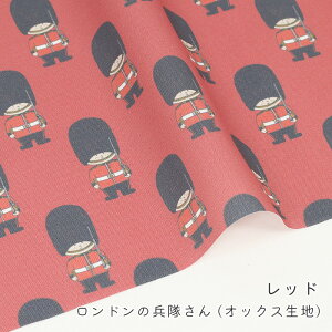 y50cm10cmPʁz IbNX s h̕ thK[h  킢 p Rbgvg j̎q ̎q w | obO |[` Rbgvgn 