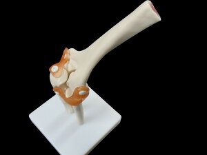 yl̖͌^Z^[ Kiz xѕtI͌^@l̖͌^@@͌^ yz