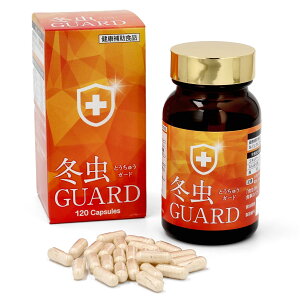 冬虫夏草 6箱(720粒) コルジセピン含有1% 製薬会社 国内製造 アガリクス 冬虫夏草サプリメント 冬虫ガード 冬虫GUARD