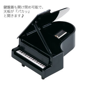 sAm M y y [ nfBM 蓮M gїp҂ ^҂ ~j}TCY ~jTCY v[g 蕨 Mtg j Vw wZ 