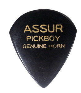 ASSUR HONE �~�b�N�X�z�[���i�����̃c�m�j ��2.00mm �e�B�A�h���b�v GP-AS/1�bPICKBOY