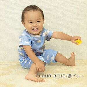 7 pc 100 ʉ ꒅ ۈ牀 xr[ tCX 킢 n Vv j̎q ̎q v[g q jp H 