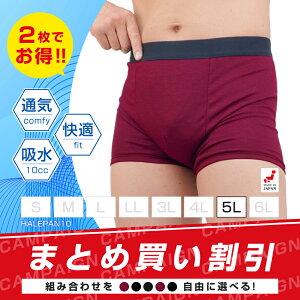 y_Ԍ^P3{2025/11/4()20:00`z2Zbg | փpc ARpc jp 傫TCY {NT[pc Y ͂p 10 ǂR AW~h~ 傢 Ԃ炵 