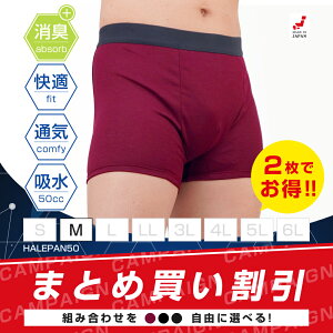 2Zbg | փpc ARpc jp {NT[pc Y ǂR ͂p 50 AW~h~ 傢 Ԃ炵 т A h { zpc 50cc MTCY | [