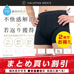 2Zbg | ARpc jp փpc {NT[pc Y eʃ^Cv A ͂p 80 h { zpc 100cc 5LTCY | [֑