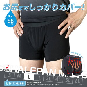 փpc jp ARpc {NT[pc Y eʃ^Cv A h { zpc ͂p M88 88cc LTCY | [֑