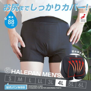 փpc jp ARpc {NT[pc Y eʃ^Cv A h { zpc ͂p M88 88cc 4LTCY | [֑