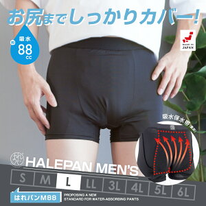 փpc jp ARpc {NT[pc Y eʃ^Cv A h { zpc ͂p M88 88cc LTCY | [֑